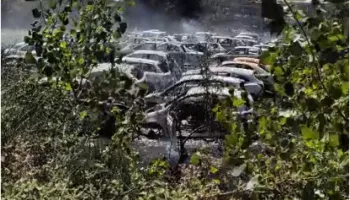 Neutralizohet zjarri në Peshkëpi të Selenicës, digjen automjete në një varrezë makinash dhe dhjetëra pemë