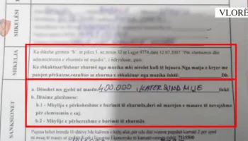 Nga festa në bord te përballja me policinë, anija turistike në Vlorë gjobitet me 400 mijë lekë