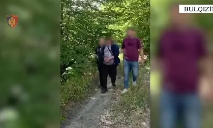 Nga Kamza në Bulqizë për të kultivuar dy parcela me hashash, arrestohet 37-vjeçari i dyshuar!