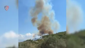 Nga zjarri që ndezi u dogjën 400 pemë ulliri, arrestohet 54-vjeçari