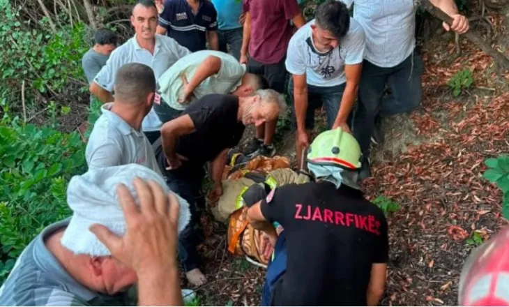 Ngjarje dramatike në Mallakastër, 50-vjeçari bie në humnerën pranë fshatit! Dërgohet i plagosur rëndë në spital