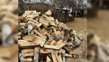 Një turë drush, një jetë e humbur/ konflikti banal përfundon me një viktimë në Fier