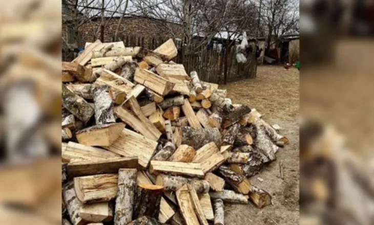 Një turë drush, një jetë e humbur/ konflikti banal përfundon me një viktimë në Fier