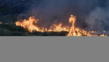 Nxehtësi ekstreme në Evropën Perëndimore: Qershor-korriku më i nxehtë në histori