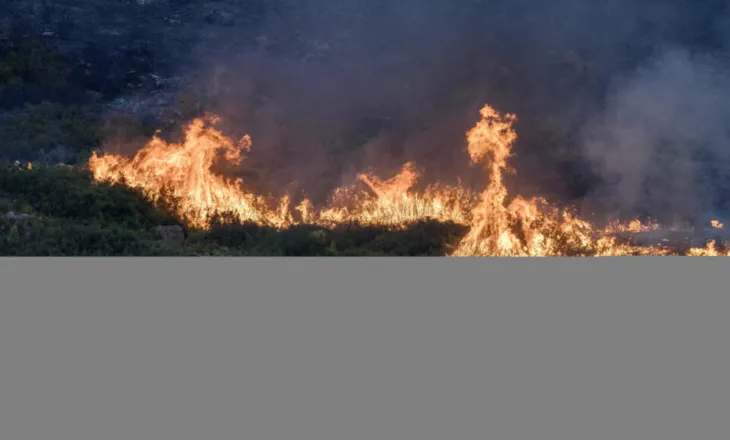 Nxehtësi ekstreme në Evropën Perëndimore: Qershor-korriku më i nxehtë në histori