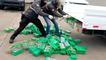 Pakot e kokainës me fytyrën e Haaland, policia në Ekuador sekuestron 469 kg drogë
