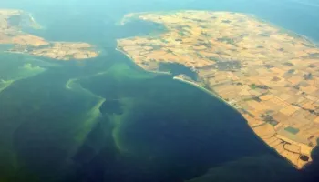 Paralajmërim për pushuesit: Algat toksike përhapen në Detin Baltik dhe liqenet e Gjermanisë