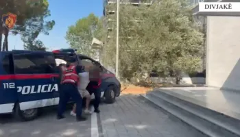 Parandalohet krimi në Divjakë, arrestohen 6 persona, sekuestrohen armë zjarri me silenciator (EMRAT)
