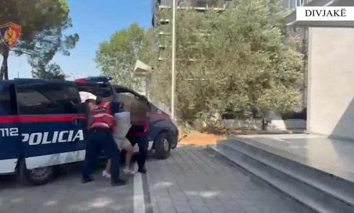 Parandalohet krimi në Divjakë, arrestohen 6 persona, sekuestrohen armë zjarri me silenciator (EMRAT)