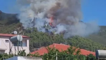 Pas 24 orësh luftë me flakët, shuhet zjarri në malin e Milotit