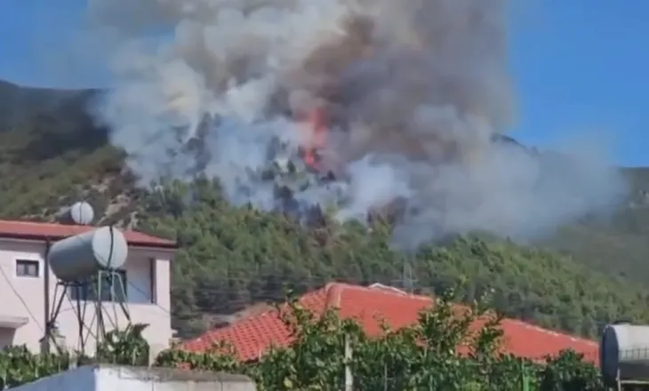 Pas 24 orësh luftë me flakët, shuhet zjarri në malin e Milotit