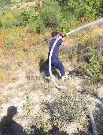 Pas disa orësh betejë me flakët, neutralizohet zjarri në Drenovë, digjen 10 hektarë ullinj dhe pyll