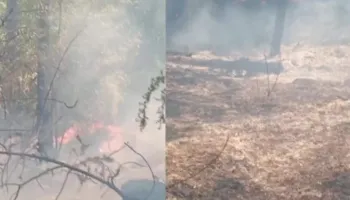 Pas disa orësh lufte me flakët, vihet nën kontroll edhe zjarri në Lugaxhi të Elbasanit!