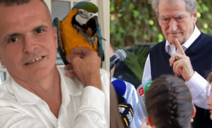 Pasuritë e Ermal Beqirit në Francë, Berisha: Kështjella mund të jetë e Edi Ramës dhe Olsi Ramës