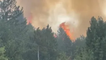 Përkeqësohet situata në Lurë/ Banorët në rrezik, flakët u afrohen shtëpive! FA dhe ekipet zjarrfikëse në terren