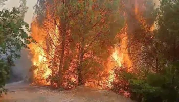 Përkeqësohet situata në Lurë/ Banorët në rrezik, flakët u afrohen shtëpive