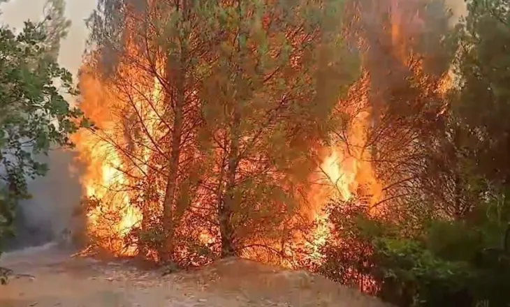 Përkeqësohet situata në Lurë/ Banorët në rrezik, flakët u afrohen shtëpive