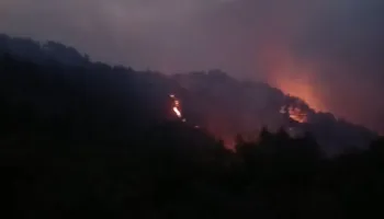 Përmirësohet situata nga zjarret në Mallakastër! Mbeten aktive 10 vatra nga veriu në jug