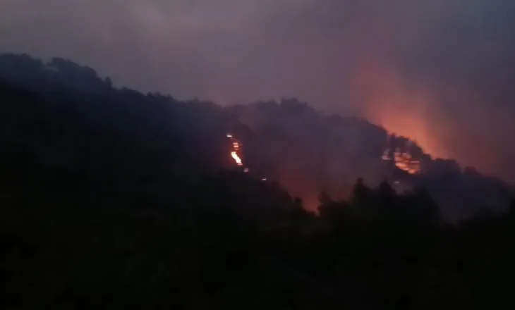 Përmirësohet situata nga zjarret në Mallakastër! Mbeten aktive 10 vatra nga veriu në jug