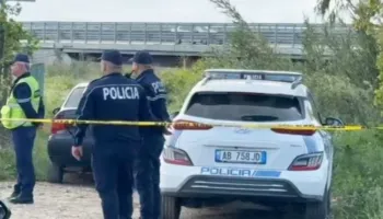 Plagoset me armë Vladimir Bruçi/ Policia identifikon autorin