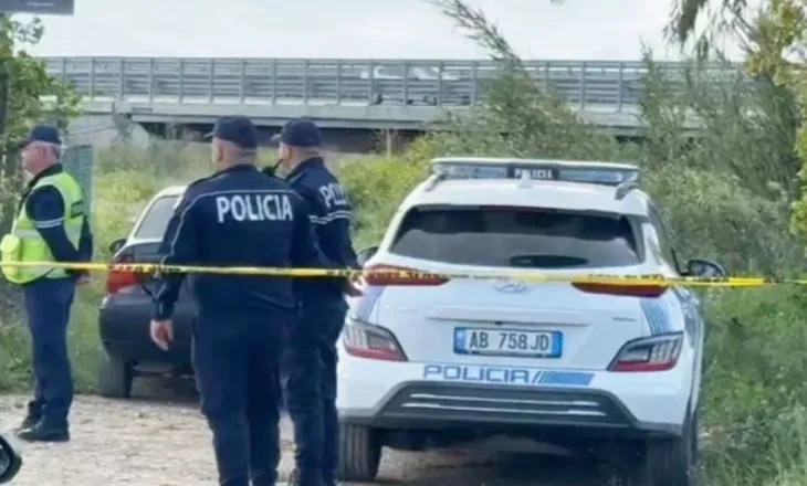 Plagoset me armë Vladimir Bruçi/ Policia identifikon autorin