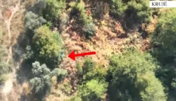 Po kujdesej për bimët e hashashit në parcelë, prangoset në flagrancë 62-vjeçari në Krujë!