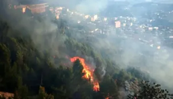 “Po përpiqesha ta fikja zjarrin”, Prokuroria liron të moshuarin nga Kruja, Policia nuk kishte prova