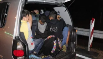 Po transportonin 15 shtetas afrikanë drejt Malit të Zi, arrestohen dy të rinj në Shkodër