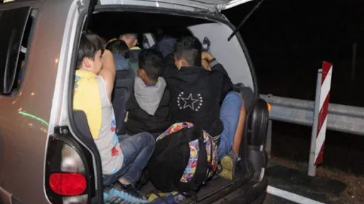 Po transportonin 15 shtetas afrikanë drejt Malit të Zi, arrestohen dy të rinj në Shkodër