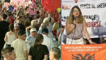 Politologia nga diaspora rrëfen dramën: Mamaja erdhi për pushime por u sëmur, urgjenca nuk i përgjigjej