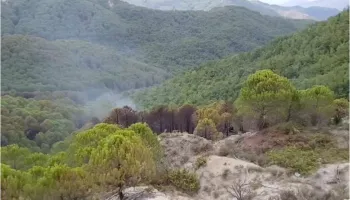 Prej disa ditësh në flakë, izolohet vatra në Drenie të Patosit
