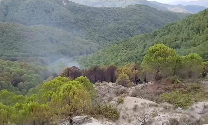 Prej disa ditësh në flakë, izolohet vatra në Drenie të Patosit