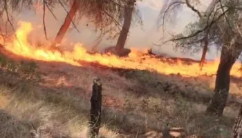 Pse zjarret fiken me lopata e mjete rrethanore? Haki Çako jep parashikimin e pazakontë për zjarret në gusht