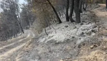 ‘Pyjet, shkrumb e hi!’ Shikoni katastrofën në Mallakastër, Situata mbetet problematike, zjarri vijon të përparojë