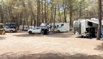 Pylli i Sodës ‘pushtohet’ nga kamperat e çadrat! Të rinjtë europianë: Larg zhurmës
