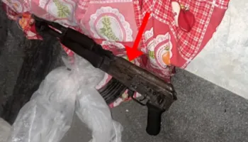Qëlloi me armë policinë gjatë operacionit antikanabis në malësinë e Pukës, shpallet në kërkim 30-vjeçari! Ruante parcelat