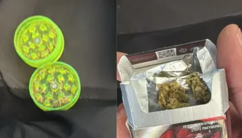 Qeni antidrogë zbulon kanabis në kufi, ndalohen dy të rinj në Qafë-Botë