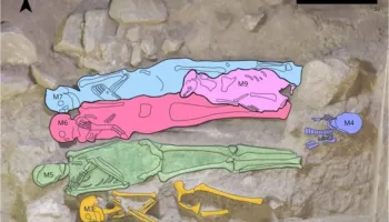 Qeni i mumifikuar në një varr të lashtë egjiptian, habit arkeologët