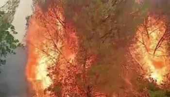 Riaktivizohet vatra e zjarrit në Drenie, flakë të fuqishme dhe terren i vështirë! 40 efektivë dhe 5 zjarrfikëse në operacion