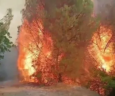 Riaktivizohet vatra e zjarrit në Drenie, flakë të fuqishme dhe terren i vështirë! 40 efektivë dhe 5 zjarrfikëse në operacion