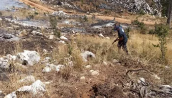 Riaktivizohet zjarri në malin e Qukësit/ Terreni i vështirë, temperaturat e larta dhe erërat e forta komplikojnë ndërhyrjen