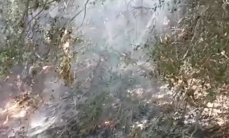 Riaktivizohet zjarri në zonën e Zidollit, flakët po përhapen në pyjet me pisha
