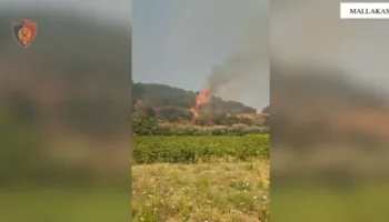 Rikthehen zjarret në Mallakastër, situatë kritike në një prej fshatrave! Rrezikohen dhe banesa, era favorizon flakët! Dyshohet i qëllimshëm