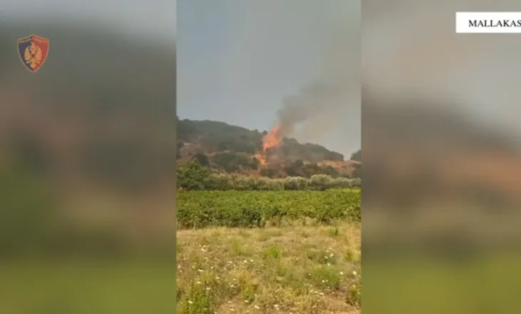 Rikthehen zjarret në Mallakastër, situatë kritike në një prej fshatrave! Rrezikohen dhe banesa, era favorizon flakët! Dyshohet i qëllimshëm