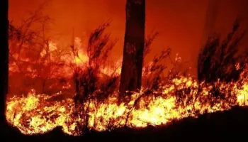 Rrëzohet një dron në Rumani, shkakton zjarr në pyll pranë kufirit me Ukrainën