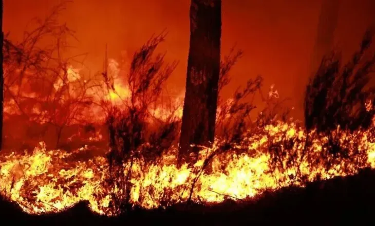 Rrëzohet një dron në Rumani, shkakton zjarr në pyll pranë kufirit me Ukrainën