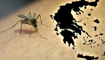 Rriten rastet me virusin e Nilit Perëndimor në Greqi/ Raportohen 6 viktima, dhe dhjetëra të shtruar në spital