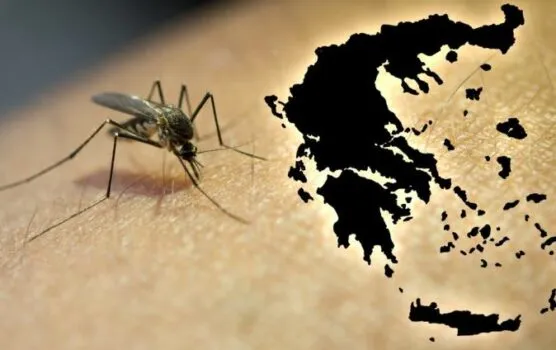 Rriten rastet me virusin e Nilit Perëndimor në Greqi/ Raportohen 6 viktima, dhe dhjetëra të shtruar në spital