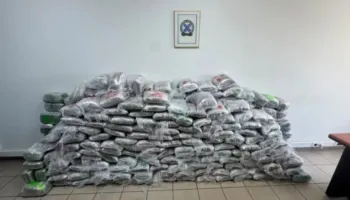 Sekuestrohen 324 kg kanabis, gjenden në kamionë duke u transportuar nga Shqipëria drejt Turqisë