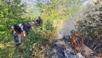 Shfrytëzimi i masivit pyjor/ Zjarri në Dardhë të Librazhdit del jashtë kontrollit, flakët vijojnë prej 6 ditësh